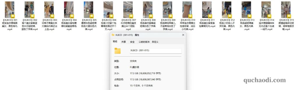 XLBCD（001-015）合集介绍图