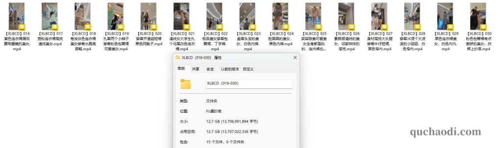 XLBCD（016-030）合集介绍图