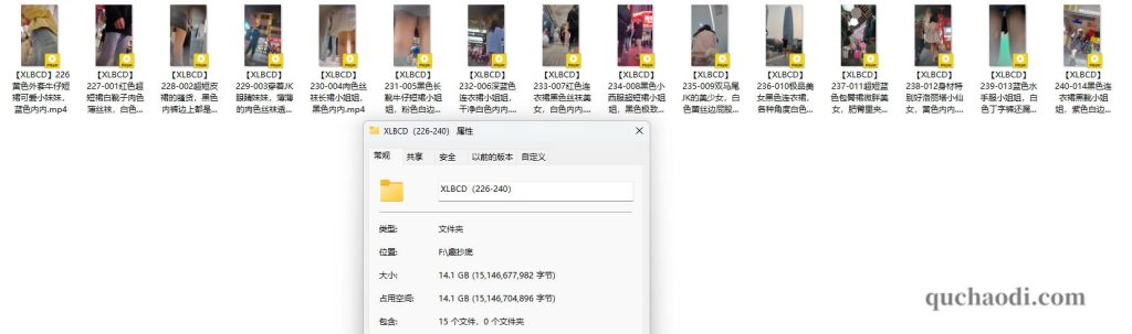 XLBCD（226-240）合集介绍图